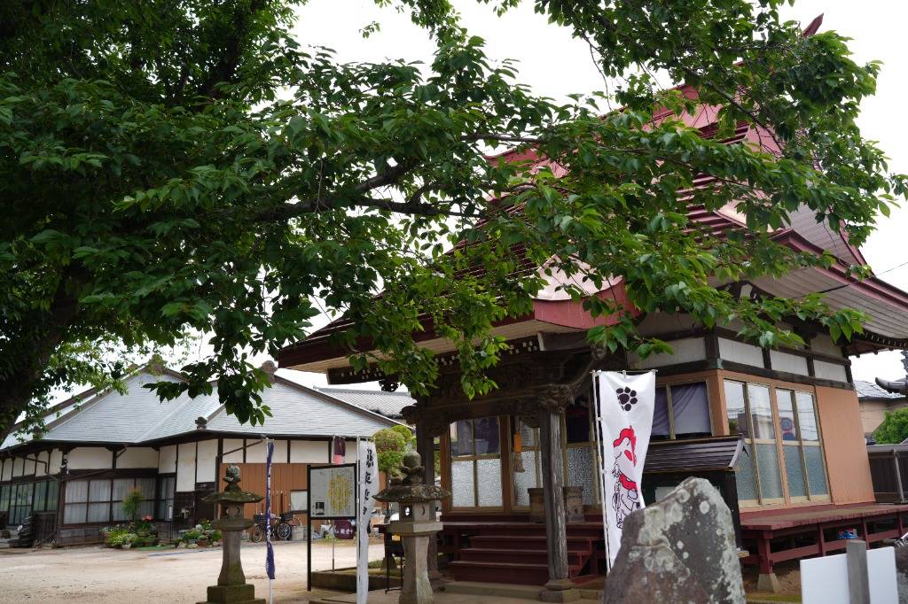 観音寺について