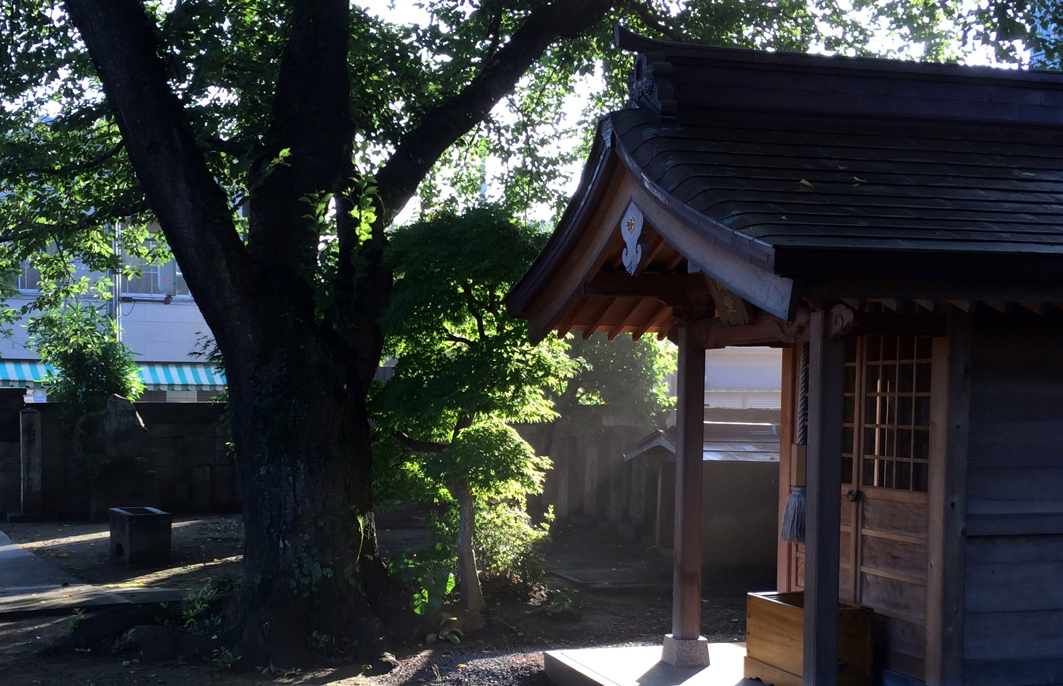 観音寺 薬師堂